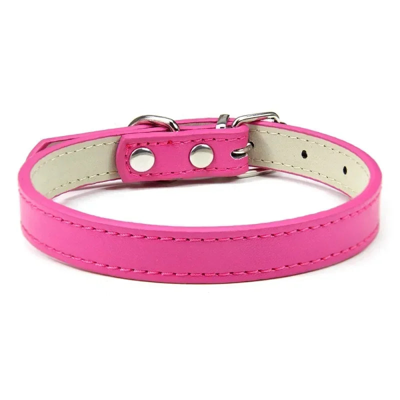 Collier Pour Chien En Cuir Coloré