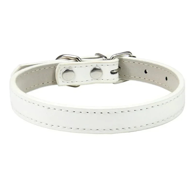 Collier Pour Chien En Cuir Coloré
