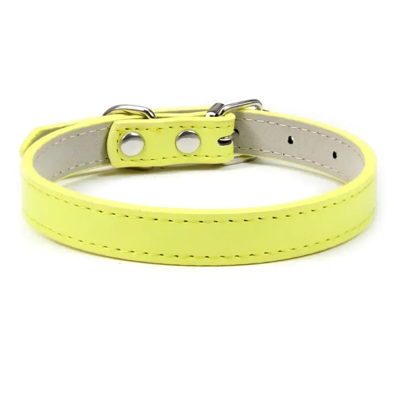 Collier Pour Chien En Cuir Coloré