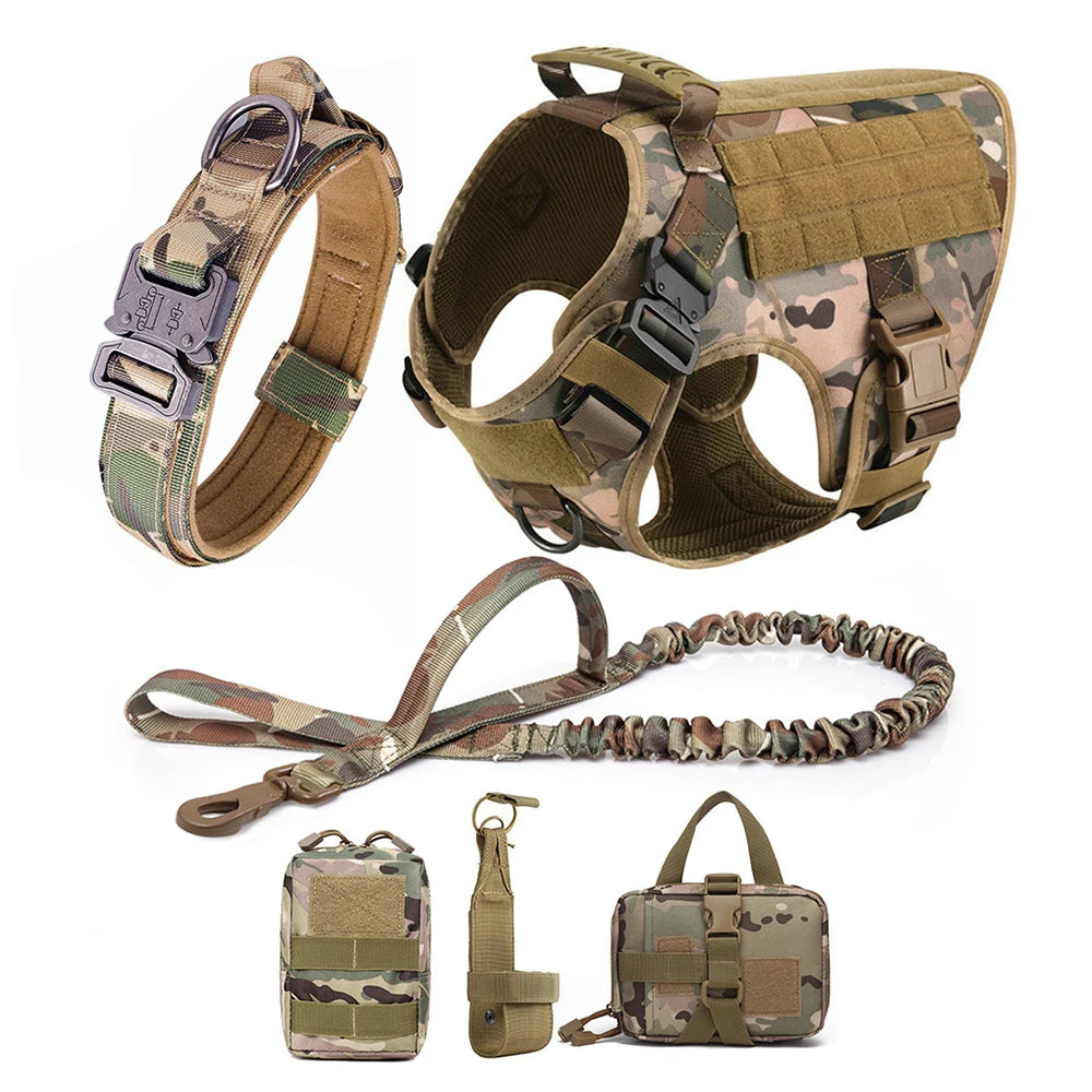 Harnais tactique pour chien avec collier, laisse et équipements