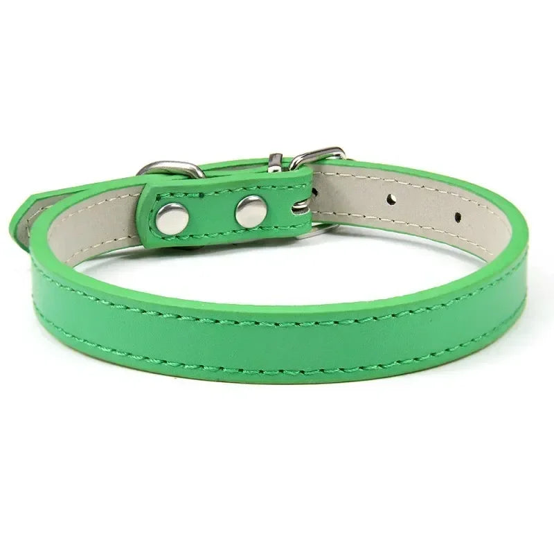 Collier Pour Chien En Cuir Coloré