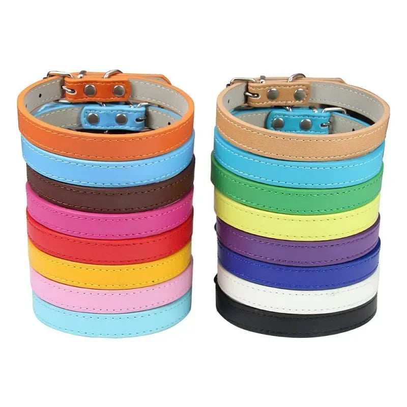 Collier Pour Chien En Cuir Coloré