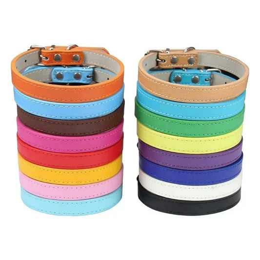 Collier Pour Chien En Cuir Coloré