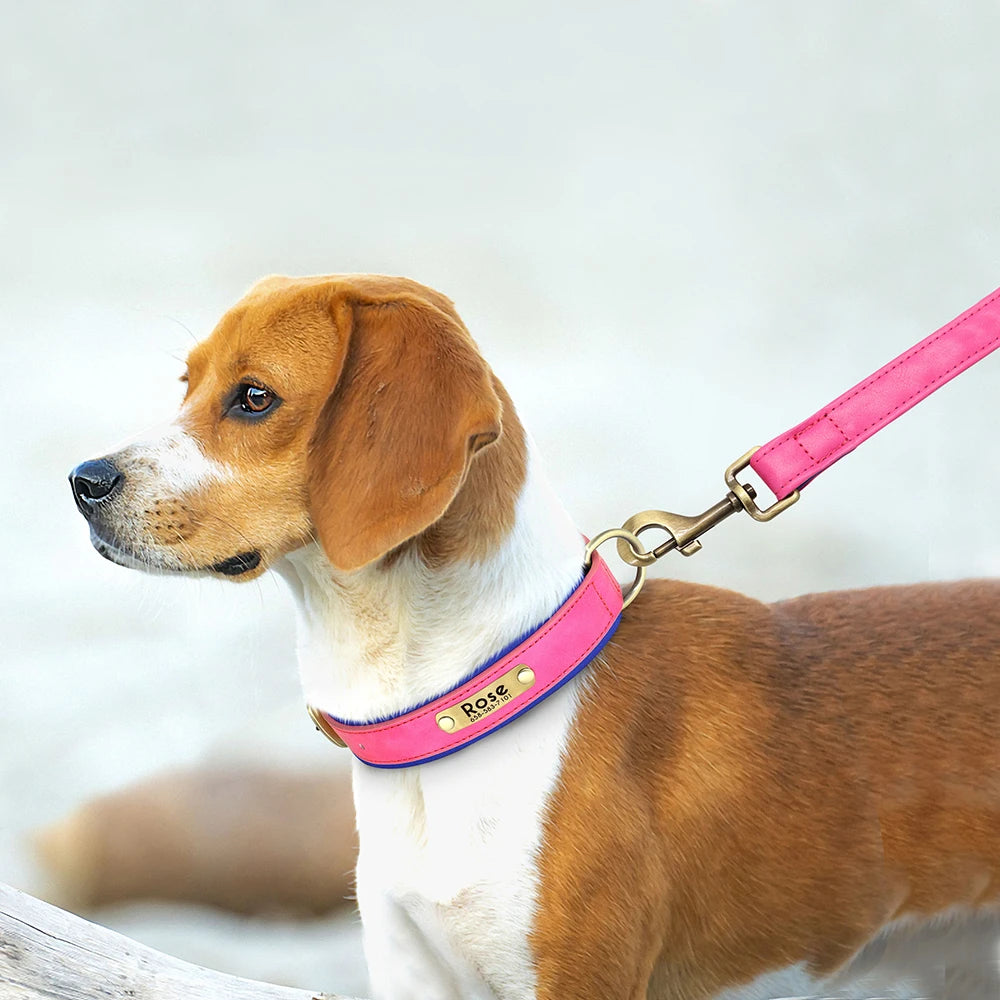 Ensemble De Laisse Et Collier En Cuir Pour Chien Personnalisé