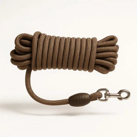 Laisse En Corde Pour Chien Moyen