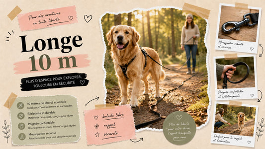 Longe pour Chien 10 m en balade