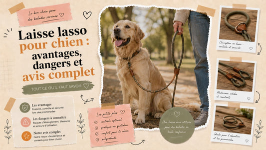 Laisse lasso pour chien dans un parc