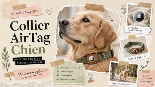 Collier AirTag Chien sécurisé