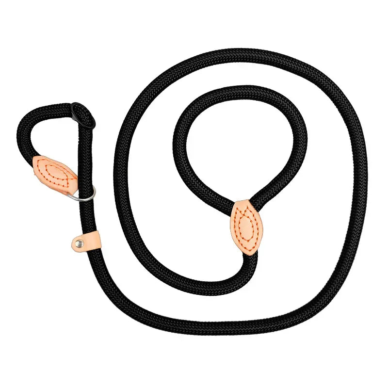 Laisse lasso pour chien