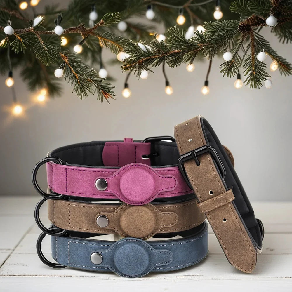 Collier en cuir pour chien