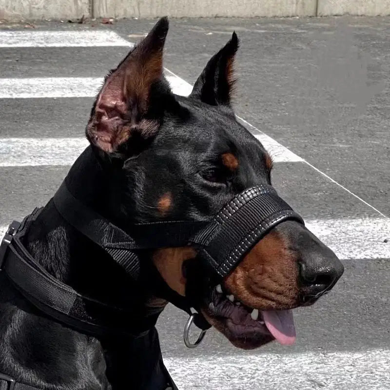 Muselière anti-morsure et anti-aboiement pour chien toutes tailles - photo 3