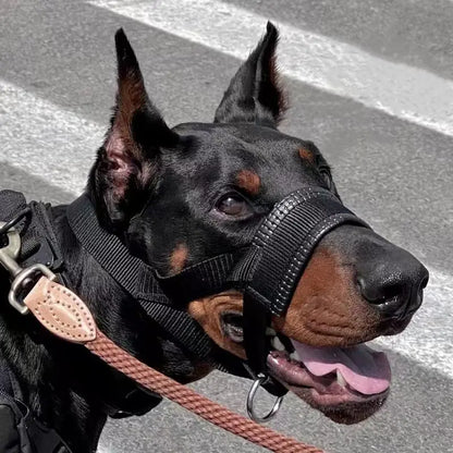 Muselière anti-morsure et anti-aboiement pour chien toutes tailles - photo 2