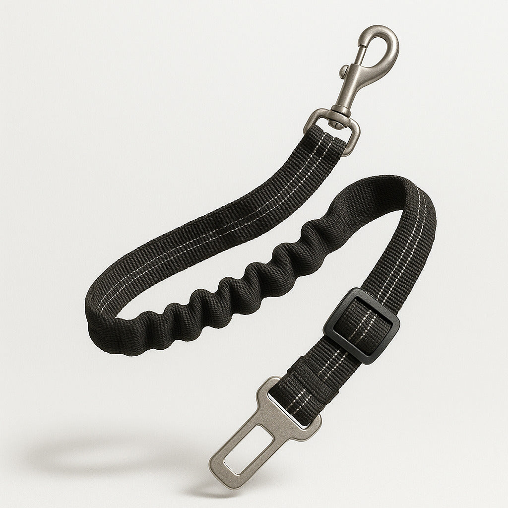 Ceinture De Sécurité Pour Chien Amortissante