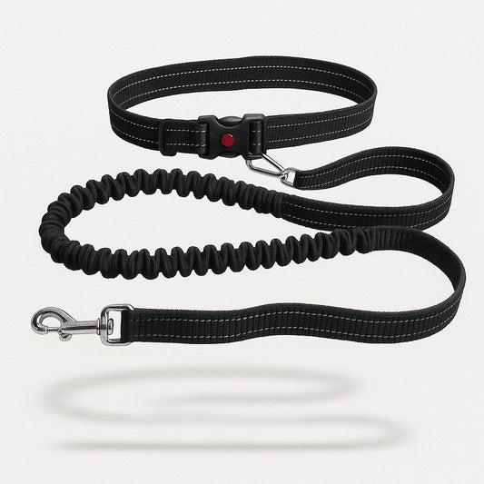 Ceinture Laisse Main Libre Pour Chien