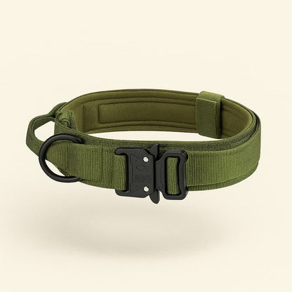 Harnais Tactique Pour Chien Collier ou Ensemble Avec Laisse - photo 3