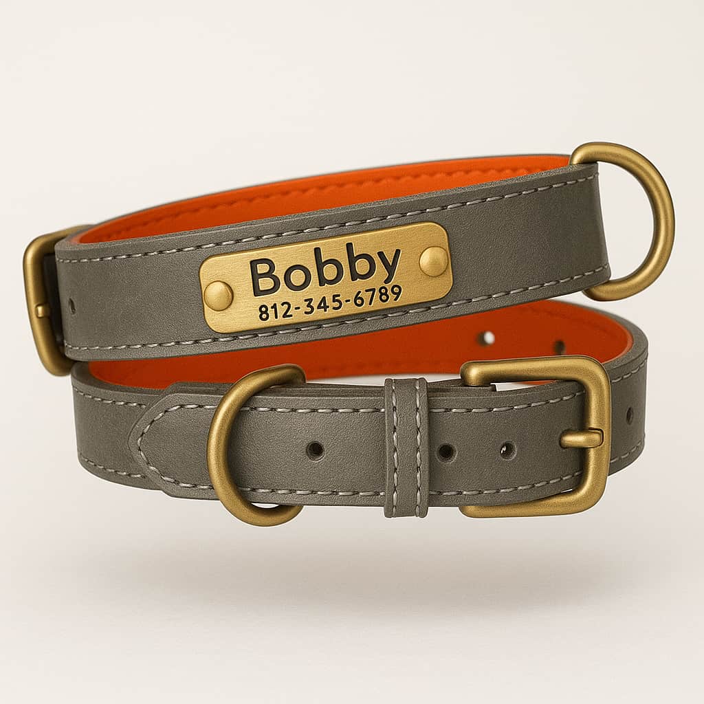 Collier Pour Chien En Cuir Personnalisé