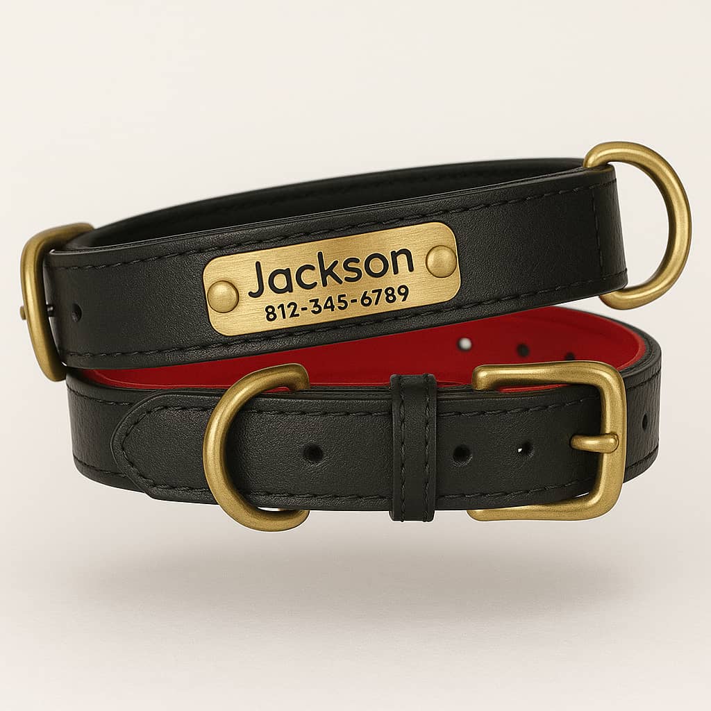 Collier Pour Chien En Cuir Personnalisé