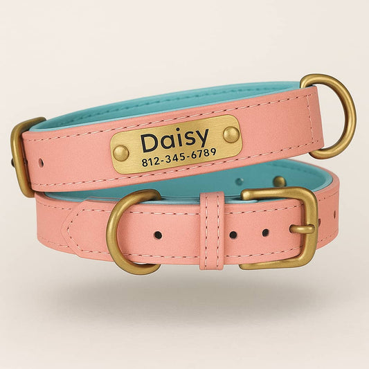 Collier Pour Chien En Cuir Personnalisé