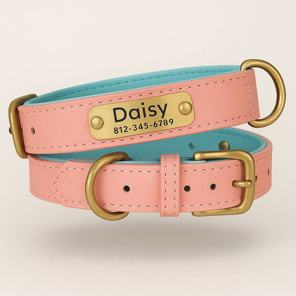 Collier Pour Chien En Cuir Personnalisé