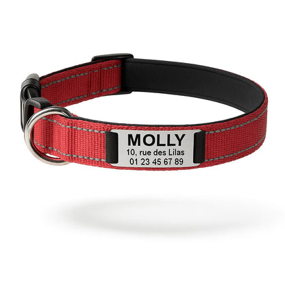 Collier Réfléchissant Personnalisé Pour Chien - photo 4