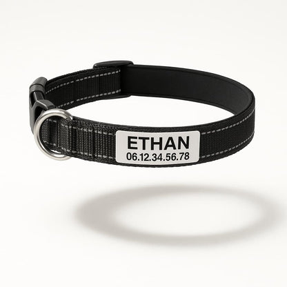 Collier Réfléchissant Personnalisé Pour Chien - photo 5