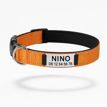 Collier Réfléchissant Personnalisé Pour Chien - photo 6