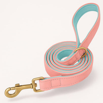 Ensemble De Laisse Et Collier En Cuir Pour Chien Personnalisé - photo 5