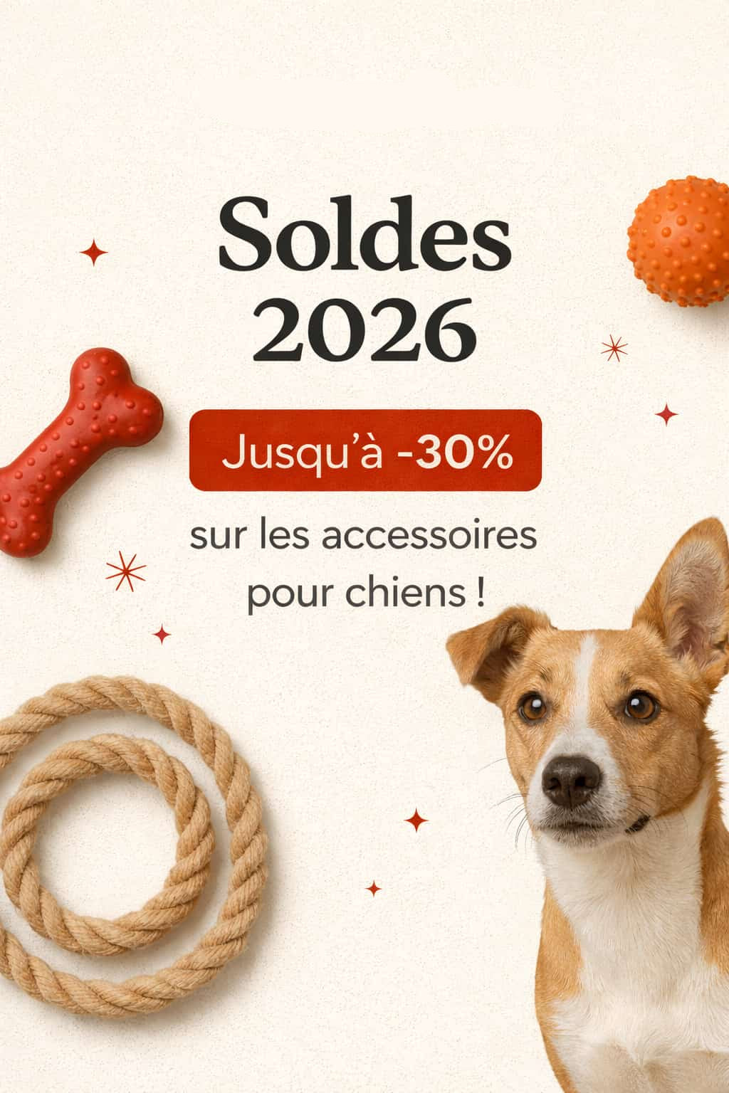 Colliers, harnais et laisses pour chien.