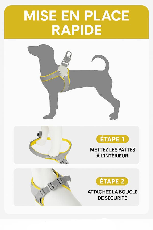 Harnais Pour Chien En Y Réfléchissant