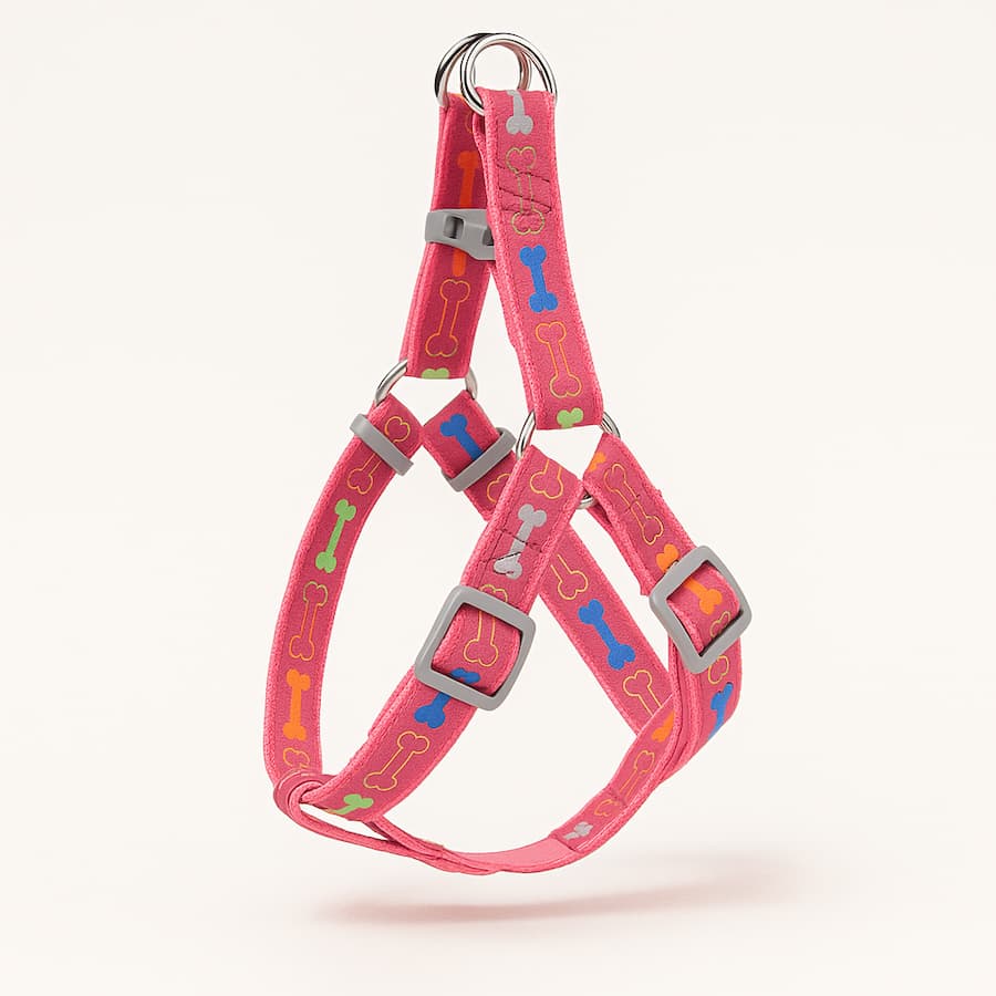 Harnais Pour Chien En Y Motif Os - photo 3