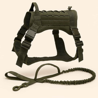 Harnais Tactique Pour Chien | Collier ou Ensemble Avec Laisse