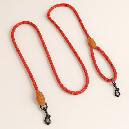 Laisse Mains Libre Pour Chien Laisse Lasso - photo 5