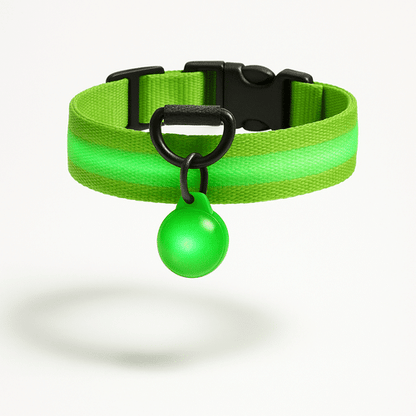 Collier Lumineux Pour Chien Rechargeable USB | Croq & Câlin