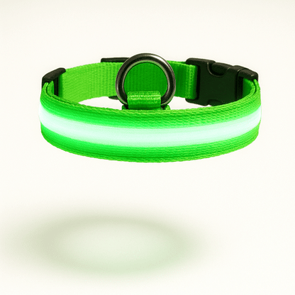 Collier Lumineux Colorés Pour Chien - photo 2