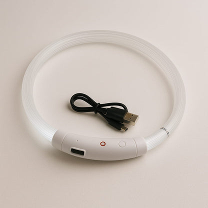 Collier Lumineux Rechargeable Pour Chien - photo 6