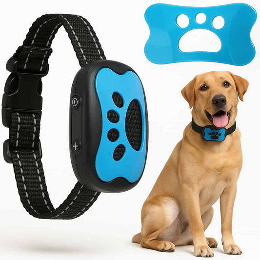 Collier Anti-Aboiement Pour Chien