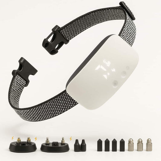 Collier De Dressage Automatique Pour Chien