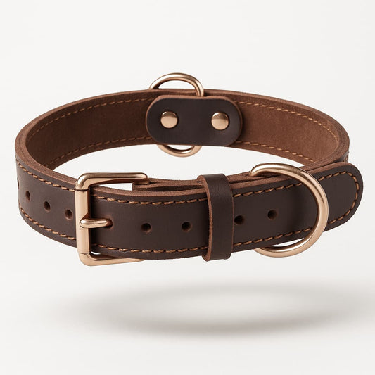 Collier En Cuir Pour Gros Chien