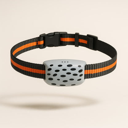 Collier GPS 4G Pour Chien | Croq & Câlin