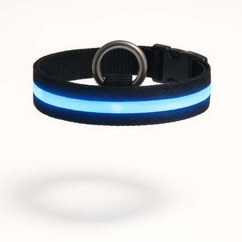 Collier Lumineux Colorés Pour Chien