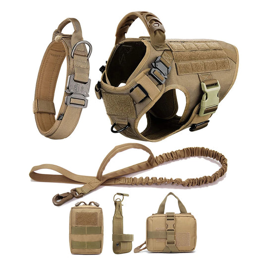 Harnais tactique pour chien avec collier, laisse et équipements