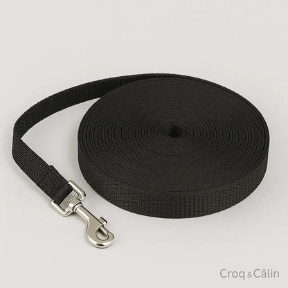 Longe Pour Chien 5 m | Croq & Câlin