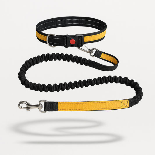 Ceinture Laisse Main Libre Pour Chien