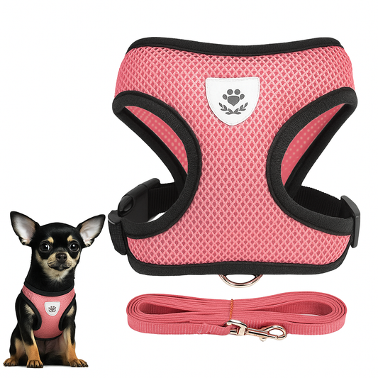 Harnais Pour Petit Chien Colorés