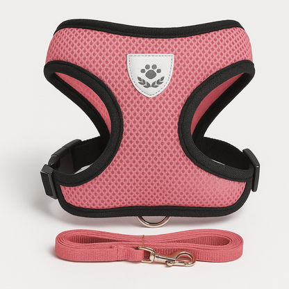 Harnais Pour Petit Chien Colorés | Croq & Câlin