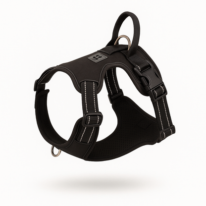 Harnais Pour Chien Moyen En Y | Croq & Câlin