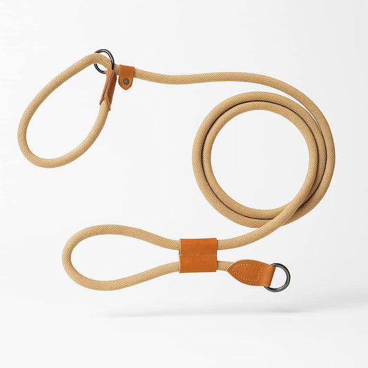 Laisse Lasso Couleur Café