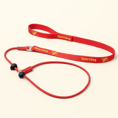 Laisse Lasso Pour Chien Educative | Croq & Câlin