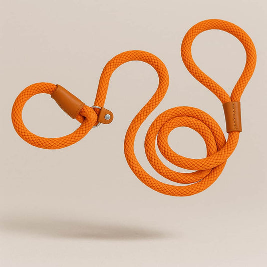 Laisse Lasso Pour Gros Chien