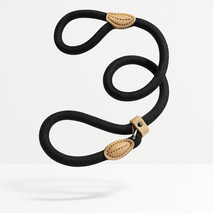 Laisse Lasso Pour Chien Moyen | Croq & Câlin